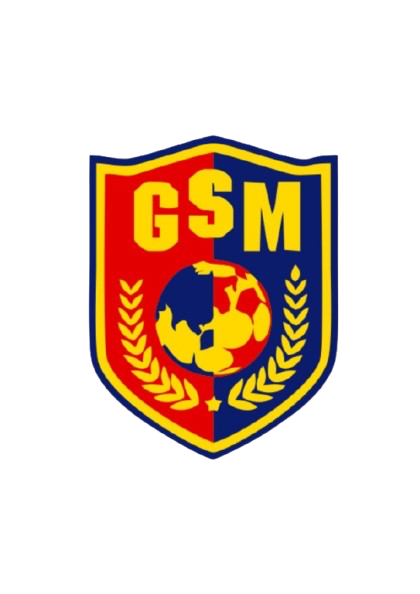 GSM Emblem